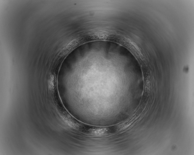 X0000100960122200807011341