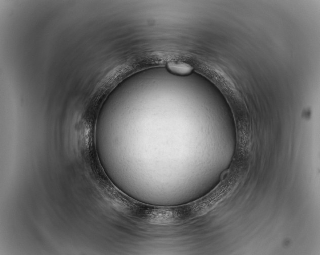 X0000100960123200807011341