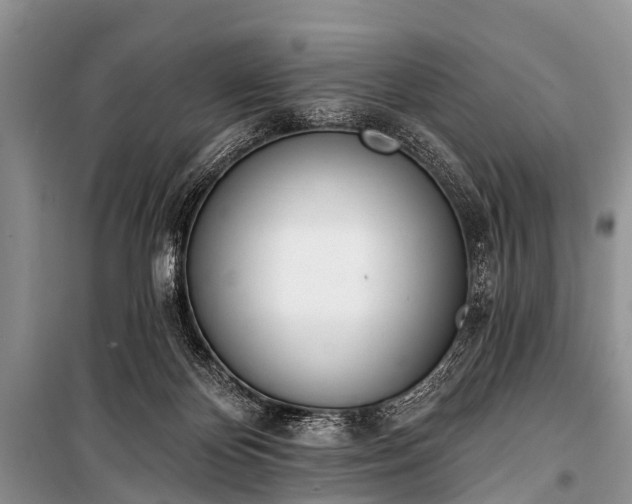 X0000100960124200807011341