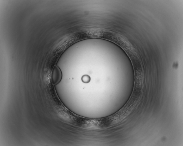 X0000100960125200807011341