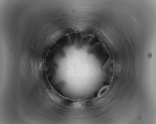X0000100960126200807011341