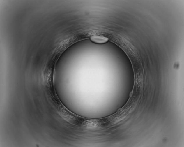 X0000100960127200807011341