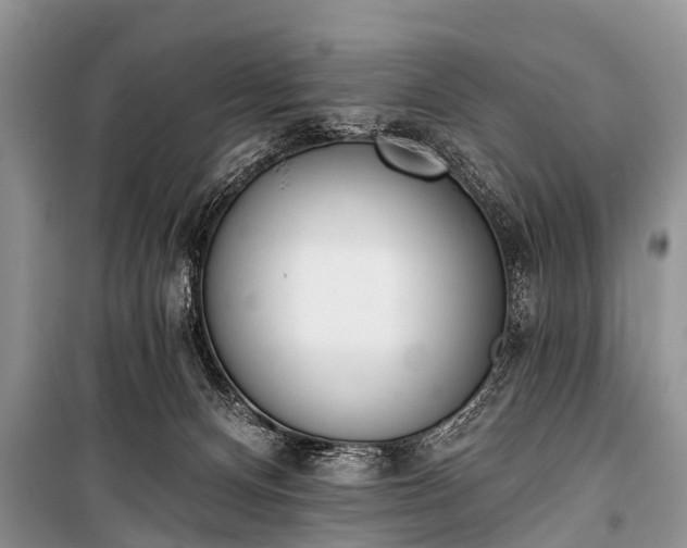 X0000100960128200807011341