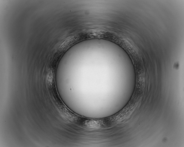 X0000100960129200807011341