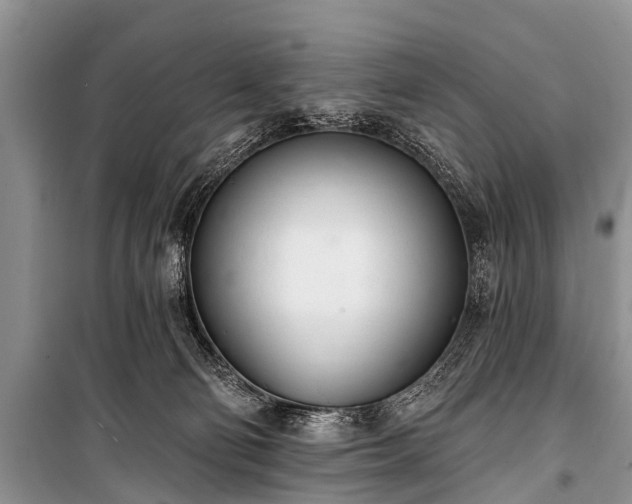 X0000100960130200807011341