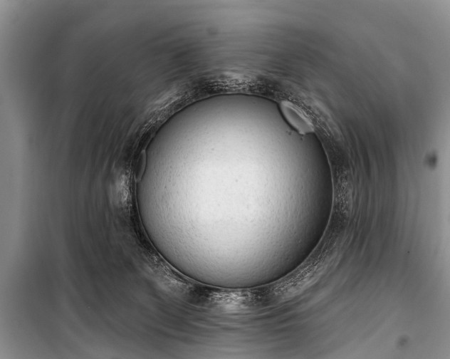 X0000100960131200807011341