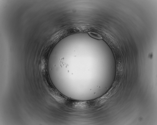 X0000100960132200807011341