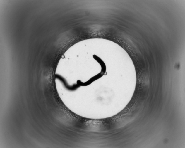 X0000100960133200807011341