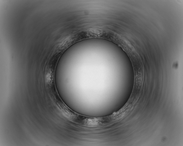 X0000100960134200807011341