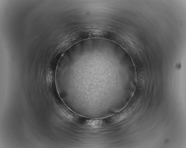X0000100960135200807011341