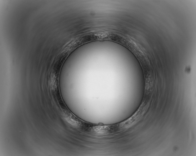 X0000100960136200807011341