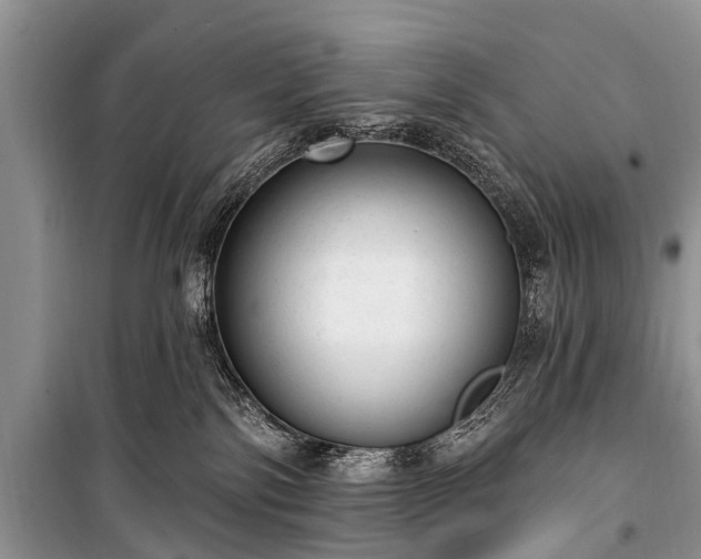 X0000100960138200807011341