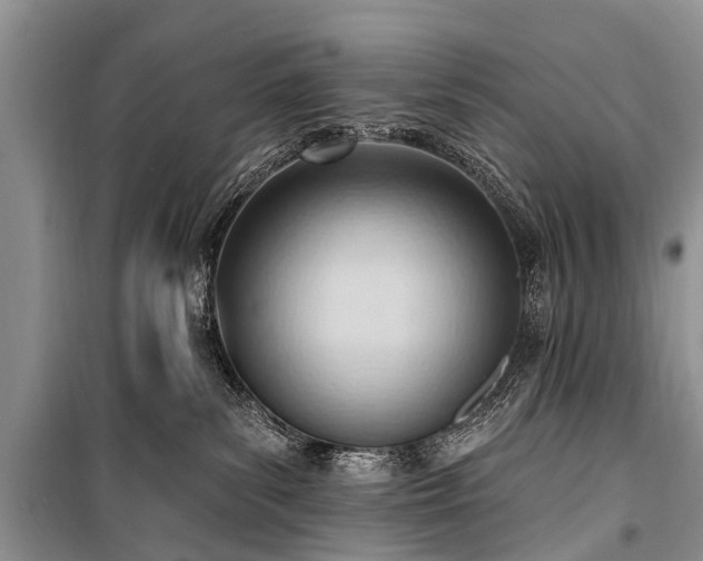 X0000100960139200807011341