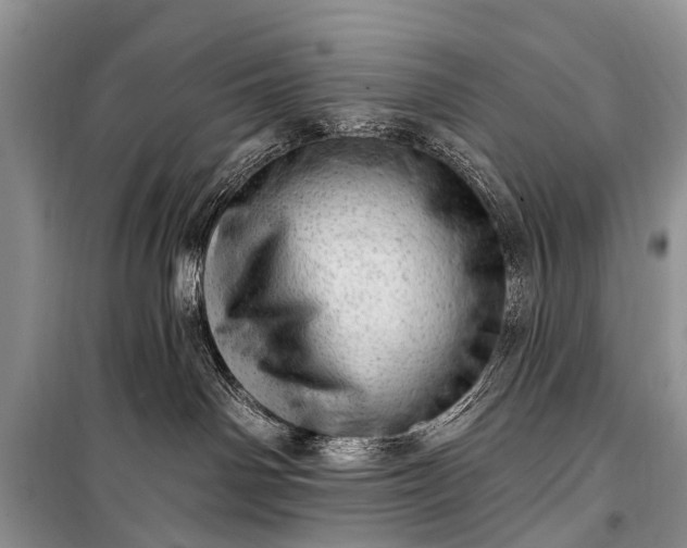 X0000100960142200807011341