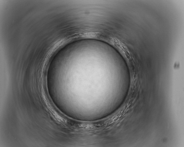 X0000100960145200807011340