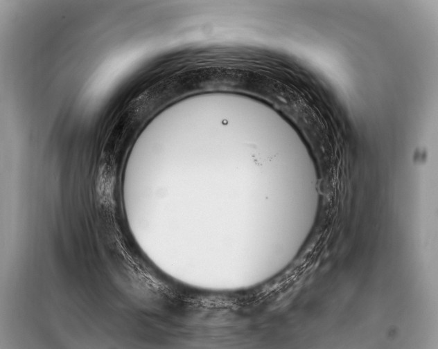 X0000100960146200807011340