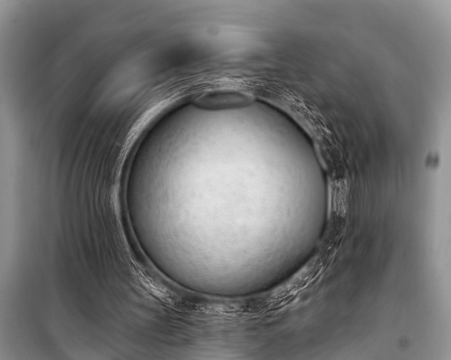 X0000100960147200807011340
