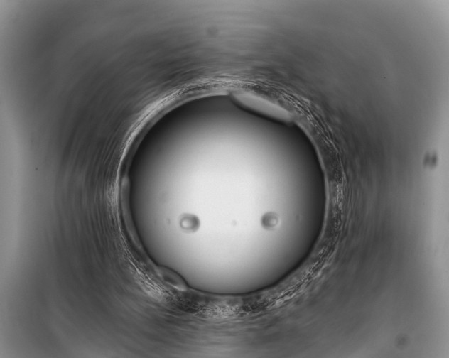 X0000100960148200807011340
