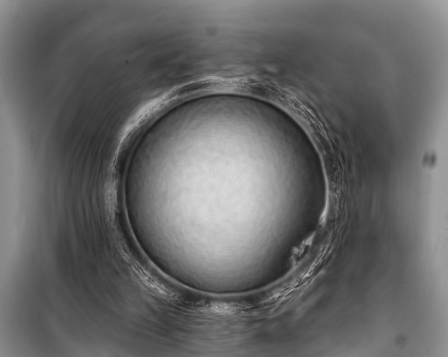 X0000100960149200807011340