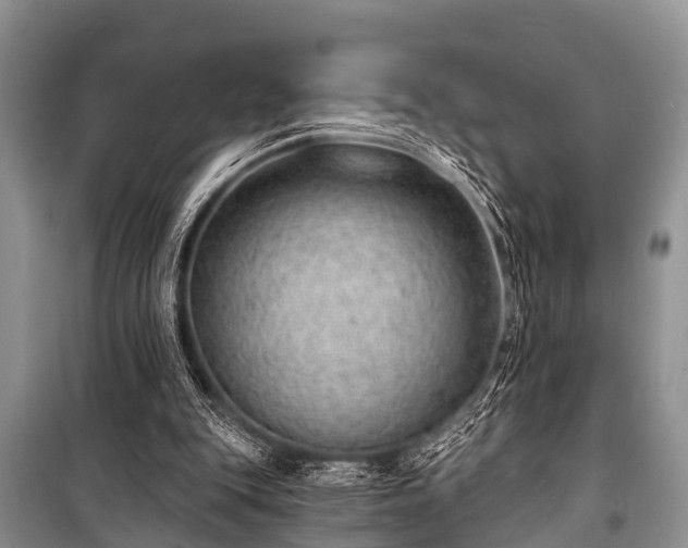 X0000100960151200807011340