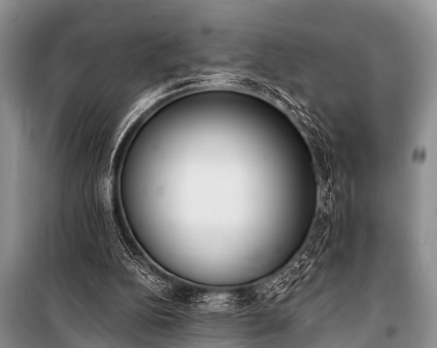 X0000100960152200807011340