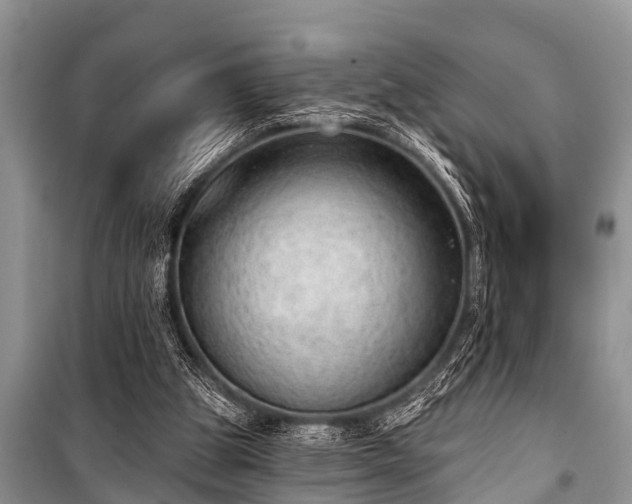 X0000100960153200807011340