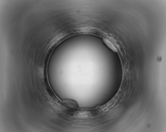 X0000100960154200807011340
