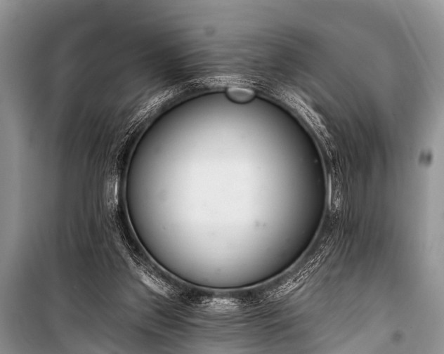 X0000100960157200807011341
