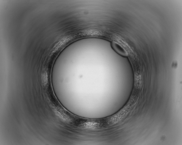 X0000100960158200807011341