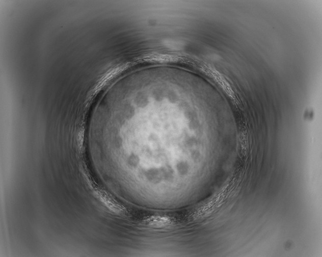X0000100960159200807011341