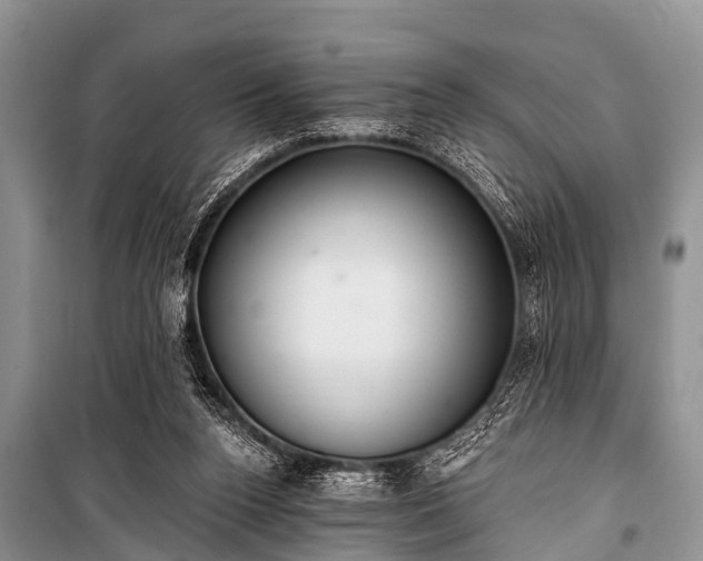 X0000100960160200807011341