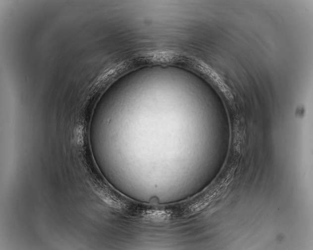 X0000100960161200807011341