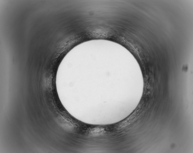 X0000100960162200807011341
