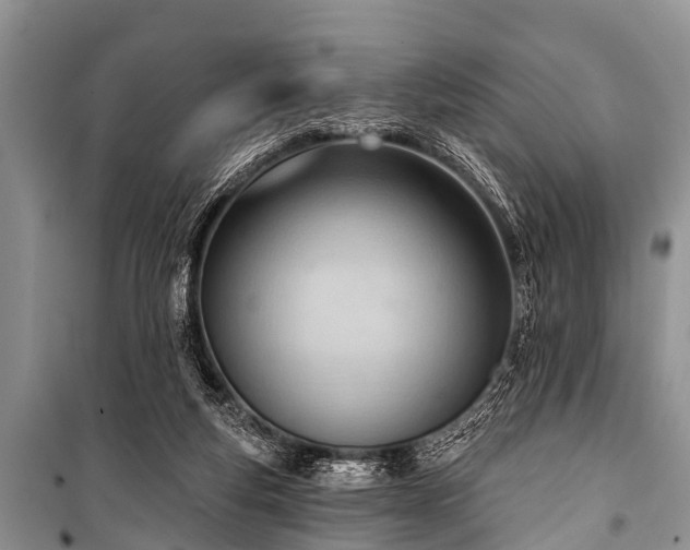 X0000100960163200807011341