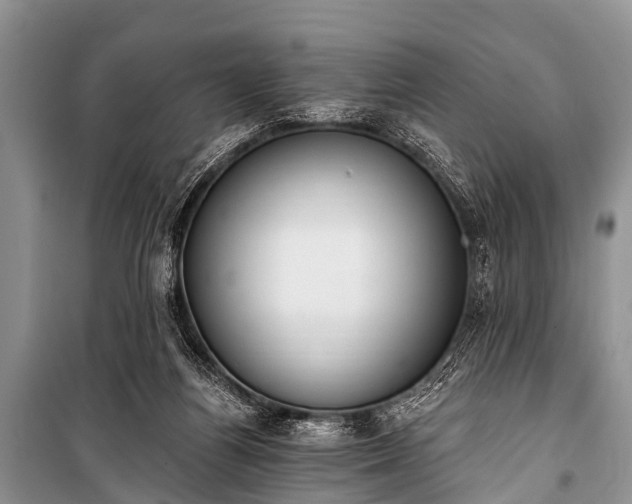 X0000100960164200807011341