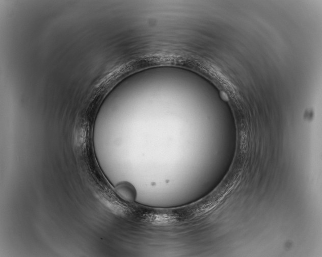 X0000100960165200807011341