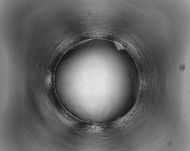 X0000100960166200807011341