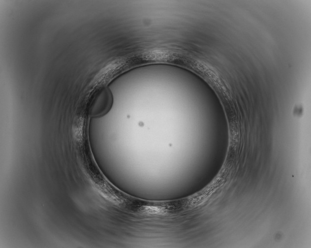 X0000100960167200807011341