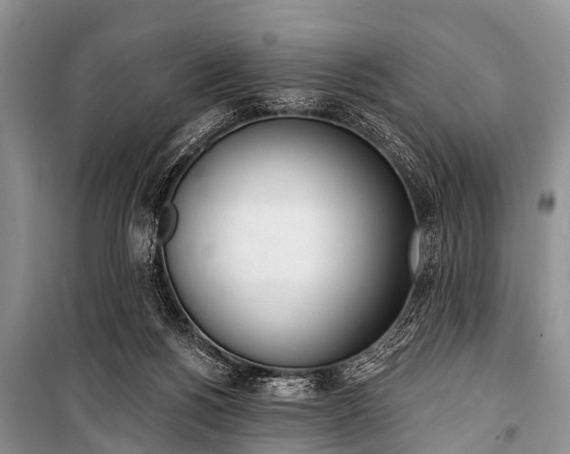 X0000100960168200807011341