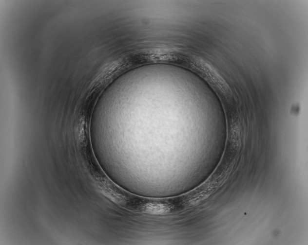 X0000100960169200807011341