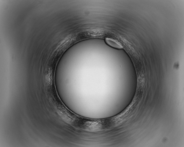 X0000100960170200807011341