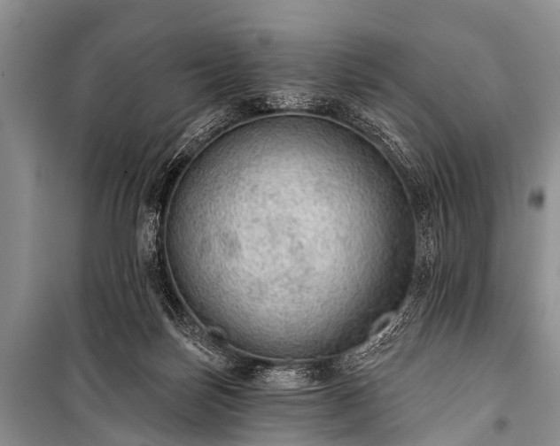 X0000100960171200807011341