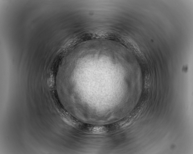 X0000100960173200807011341