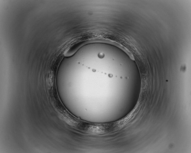 X0000100960174200807011341