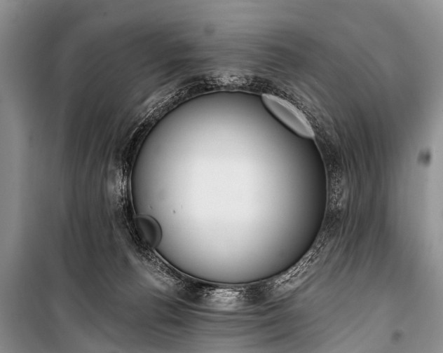 X0000100960176200807011341