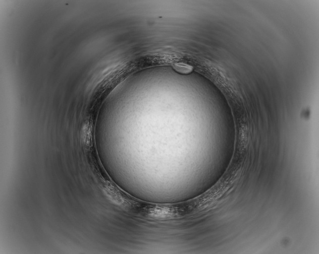 X0000100960177200807011341