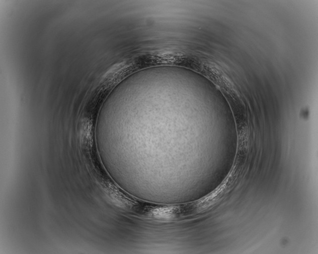 X0000100960178200807011341