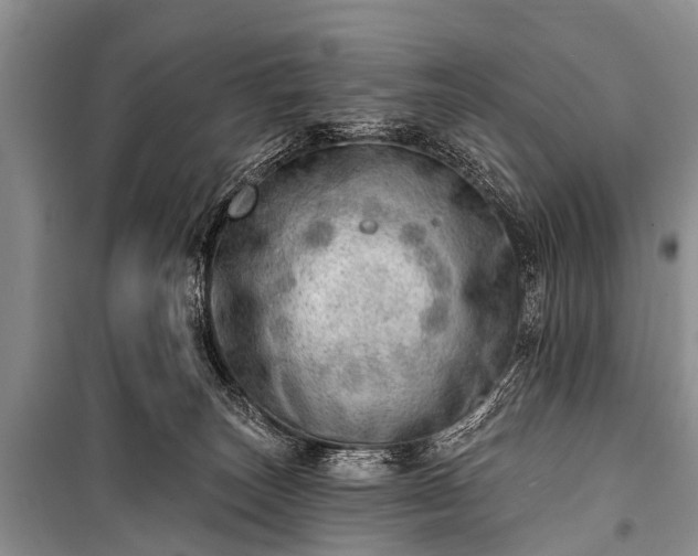 X0000100960179200807011341