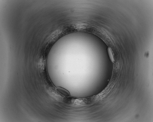 X0000100960180200807011341