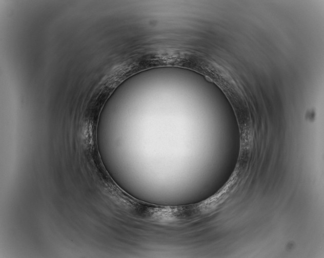 X0000100960182200807011341
